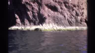 Guaymas Mexico (1975): A Group Of Birds That Floats On The Water With A Village On