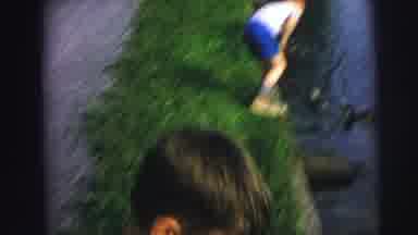 MOBILE ALABAMA-ile-: Boys At Park With Pond Containing Ducks Excited Feeding