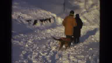 PHILADEPHIA USA-lade: A Dog Enjoying The Snow Field With Their Family Members