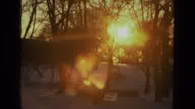 PHILADEPHIA USA-lade: Zooming In And Out On The Sun Through Trees