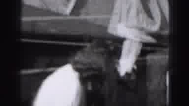 Harrisburg Penn (1946): A Kid Is Watching His Mother Taking Out Clothes From The
