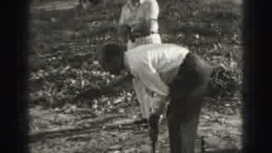 Harrisburg Penn (1946): Two Men Wearing White Shirts Play Croquet On A Sunny Day