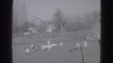 Harrisburg Penn (1946): Memories Football The Mans Renegade The Field Goal Kick