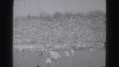 Harrisburg Penn (1946): Old Football Game In A Full Stadium