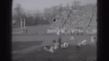 Harrisburg Penn (1946): A Fast Moving Rugby Players Are Great To See The Crack An