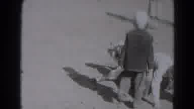 Lincoln Nebraska (1947): Young Boy Riding A Cow On A Farm