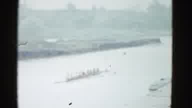 Boston Mass (1951): A Group Of Nine People Propelling A Boat On Water Using Oars