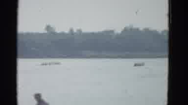 Boston Mass (1951): Rowing Competition Featuring Two Teams On A Calm River