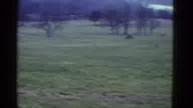 Boston Mass (1951): Few Sports Persons Running In A Beautiful Lawn With Grace