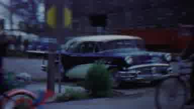 Cheyenne County Kansas (1958): A Huge Dog Was Brought Back To The Place With Huge