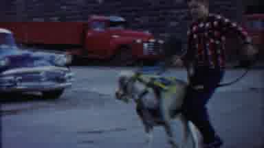 Cheyenne County Kansas (1958): Boy Walking Goat Near Laughing Girls Back In The