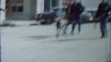 Cheyenne County Kansas (1958): A Huge Dog Been Taking In The Ste est By The Youth