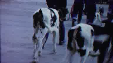 Cheyenne County Kansas (1958): A Walk Down Memory Lane