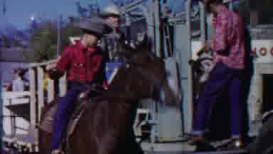 Cheyenne County Kansas (1958): Horse Sense Is The Thing A Horse Has Which Keeps It