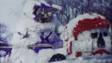 Cheyenne County Kansas (1958): In A Variety Of Flower Decoration In A Car And