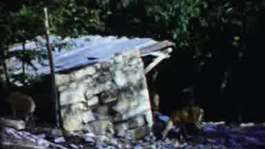Cheyenne County Kansas (1958): A Small Building Nice To See Inside The Forest