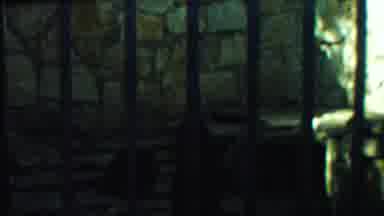 Cheyenne County Kansas (1958): In A Zoo Single Of Bear Moving Around The Cage