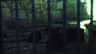 Cheyenne County Kansas (1958): Bears Inside The Zoo Cage