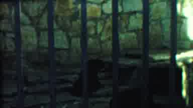 Cheyenne County Kansas (1958): The Bear Walks To The Other Side Of The Cave
