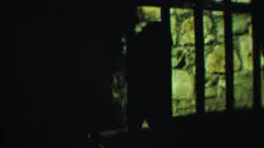 Cheyenne County Kansas (1958): Bear Standing In The Night Then Lying By The