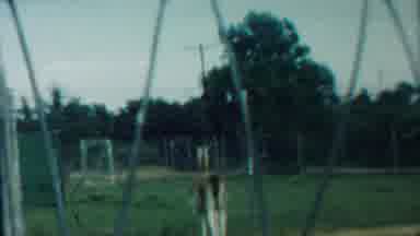 Cheyenne County Kansas (1958): Green Park A Lot Of Green Trees And The Beautiful