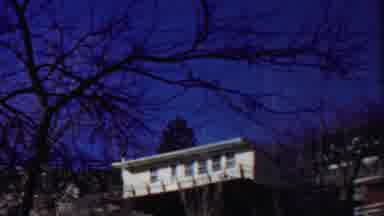 Cheyenne County Kansas (1958): Two Houses In The Woods Surrounded By Trees