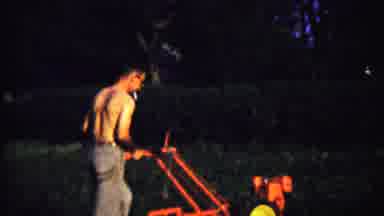 Saint Francis Kansas (1958): A Shirtless Farmer Harvesting Crop Using A Hand Lough