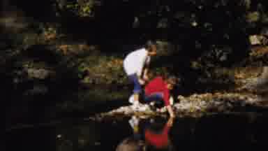 Saint Francis Kansas (1958): Curious Kids Looking For Something In The River