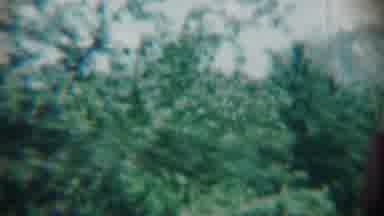 Chadron Nebraska (1959): Woman Walking Away While Eating Around Trees