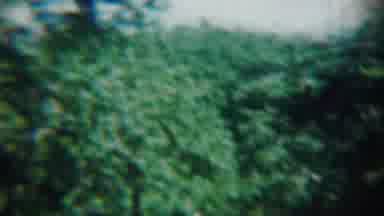 Chadron Nebraska (1959): Man Examining Something On A Table