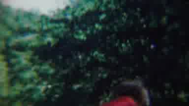Chadron Nebraska (1959): A Man Pleasingly Seated The Around The Park With Love