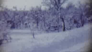 Chadron Nebraska (1959): Snow Covers The Forest