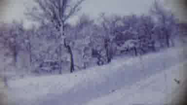 Chadron Nebraska (1959): Trees In The Park Covered In Snow