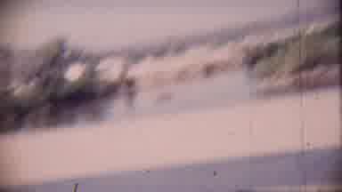 Cheyenne County Kansas (1959): Growing Trees Under The Bridge