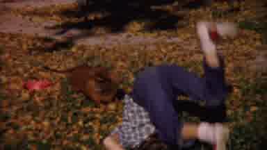 Cheyenne County Kansas (1959): Young Kid Goofing Off Doing A Kart Well In The