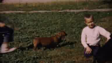 Cheyenne County Kansas (1959): Children Playing With Their Dogs In The Yard