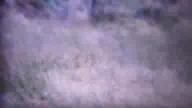 Yellowstone Wyoming-1967: Wind Blown Field With Shadow In Corner