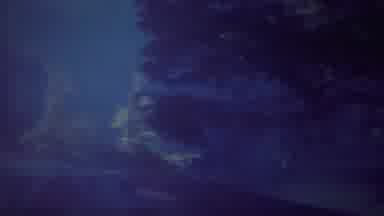 Yellowstone Wyoming (1967): Forest In Wyoming During Nighttime
