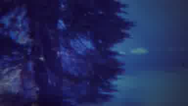 Yellowstone Wyoming (1967): A Beautiful Tree On The Horizon