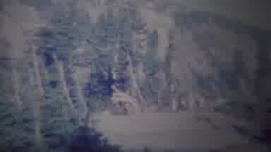 Yellowstone Wyoming (1967): A Boy Was Mooing Around The Hill Area And Enjoying The