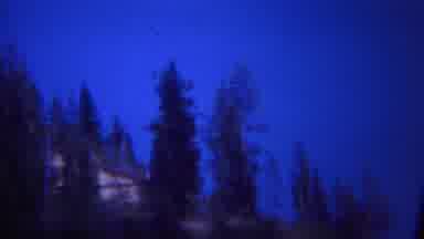 Yellowstone Wyoming (1967): A Huge River And Mountains Are Trees Very Nice To See