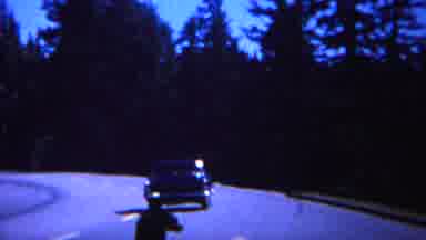 Yellowstone Wyoming (1967): Cool Car Narrowly Misses Black Bear On Dark Windy Long