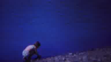 Yellowstone Wyoming (1967): A River Full Of Fish Is Worth More Than An Ocean Full