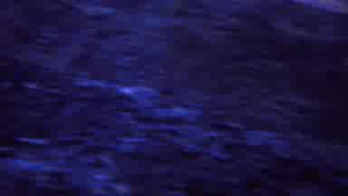 Yellowstone Wyoming (1967): Mountain Side B-Roll In A Hilly Area From A Moving Car