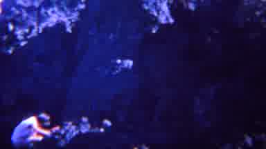 Yellowstone Wyoming (1967): Young Little Boy Climbing Mountain Looking At Person