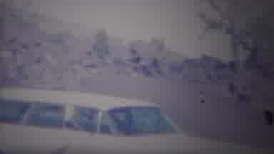 Yellowstone Wyoming (1967): Old Film Panning Outdoors Showing Trees Bushes Rock