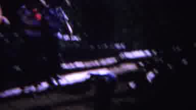 Yellowstone Wyoming (1967): A Spring Type Of Jumping Are Very Nice To See There