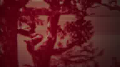 Yellowstone Wyoming (1967): Norris Geyser Basin Extremely Old Footage Three