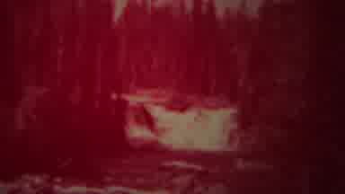Yellowstone Wyoming (1967): Rushing Waterfall Nestled Deep In The Woods At The