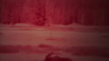 Yellowstone Wyoming (1967): Moose Enters Small Pond